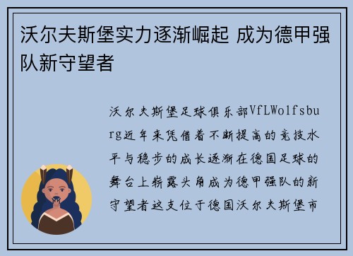 沃尔夫斯堡实力逐渐崛起 成为德甲强队新守望者